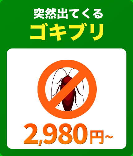 突然出てくるゴキブリ