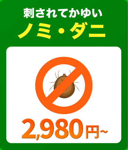 刺されてかゆいノミ・ダニ