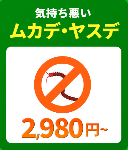 気持ち悪いムカデ・ヤスデ