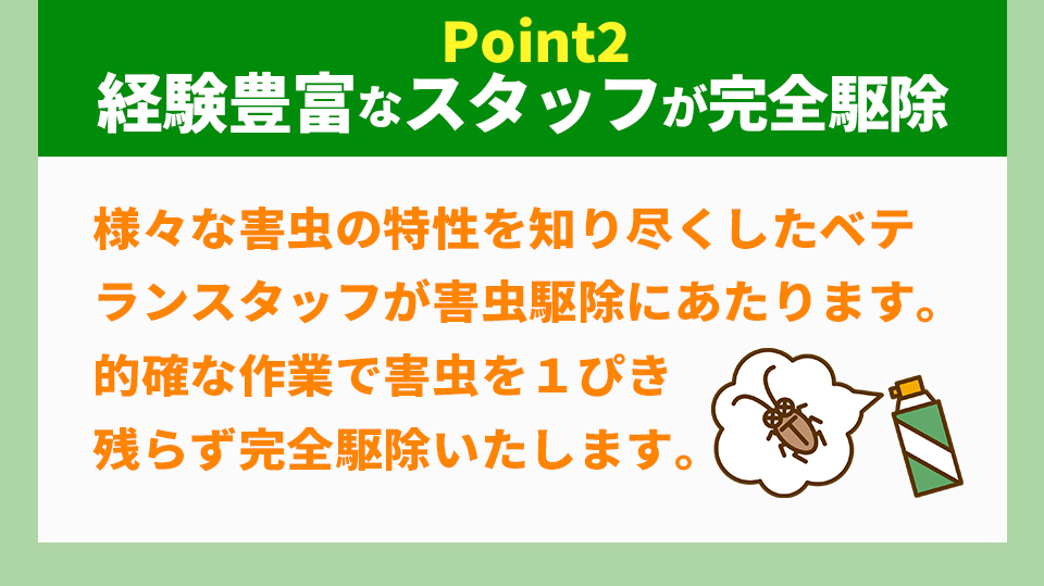 経験豊富なスタッフが完全駆除