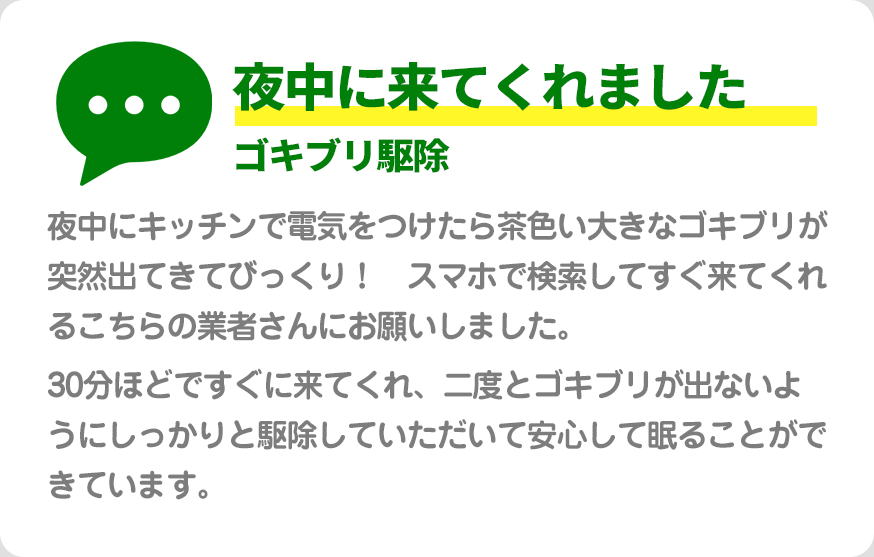 夜中に来てくれましたゴキブリ駆除